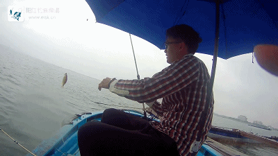 初次港口自驾船钓 全是小杂鱼