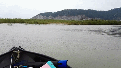 3_20181023114200.gif 3_20181023114200.gif